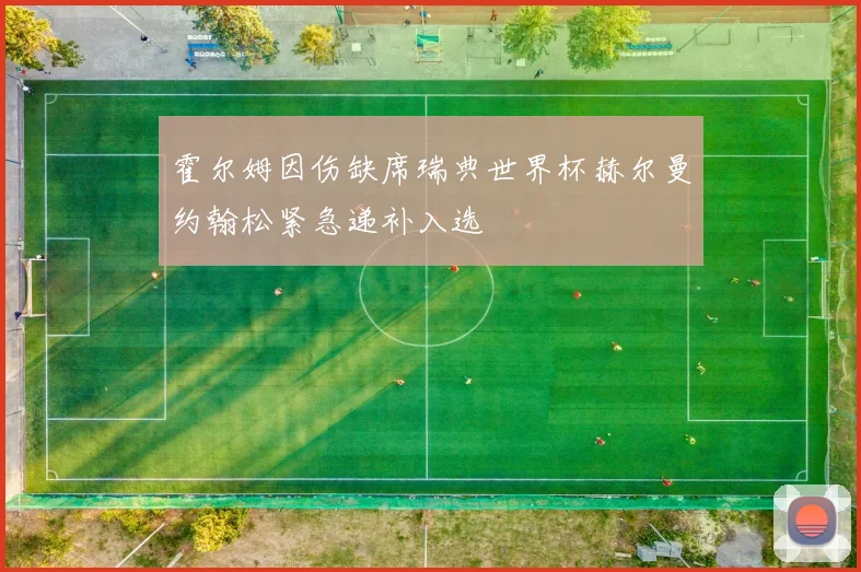 霍尔姆因伤缺席瑞典世界杯赫尔曼约翰松紧急递补入选