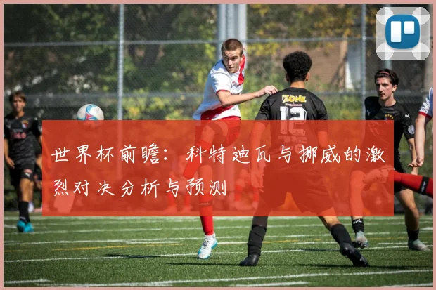 世界杯前瞻：科特迪瓦与挪威的激烈对决分析与预测