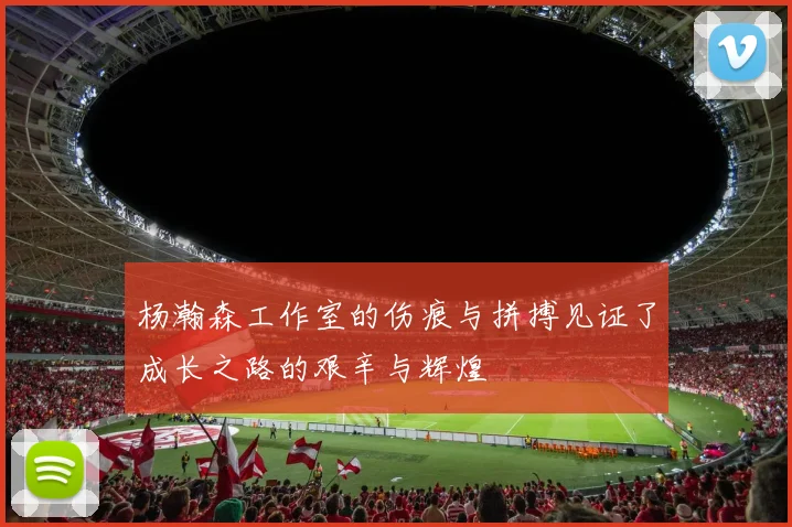 杨瀚森工作室的伤痕与拼搏见证了成长之路的艰辛与辉煌